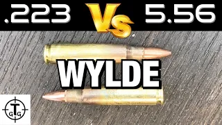 Can I run a 5.56 in a  .223 Wylde Rifle Safely?