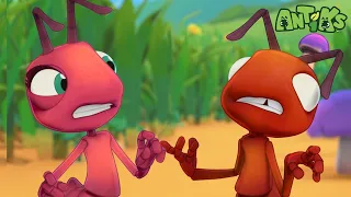 Zombie Mushroom Mayhem | 🐛 Antiks 🐜 | Funny Cartoons for Kids | Moonbug