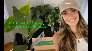 Unsolicited Plant Talks Unboxing + Weekend Plant Care Routine