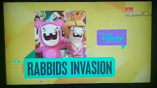 Disney Channel Asia "Rabbids Invasion" next/intermission bumpers (Social Media Age Era)