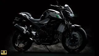 All-New 2024 Kawasaki Z500 ABS - Product Walk-Around