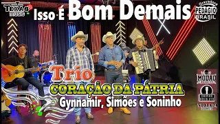 Isso é Bom Demais - TRIO CORAÇÃO DA PÁTRIA (Gravação DVD em Estúdio)