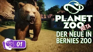 🐯 Der Neue In Bernies Zoo - Karriere Modus - Let's Play Planet Zoo Ep. 1