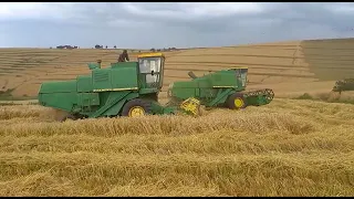 Wheat Farming in Narok