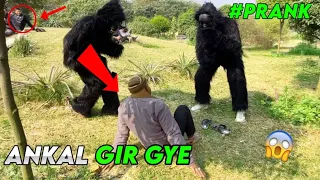 Double gorilla prank with park #prank #gorillaprank #viral😂🤣#gorillaprank