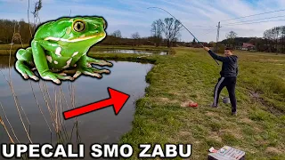 UPECALI SMO ŽABU... VLOG SA PECANJA