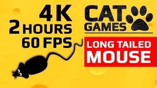 CAT GAMES - 🐭 LONG TAILED MOUSE (ENTERTAINMENT VIDEO FOR CATS TO WATCH) 4K 60FPS 2 HOURS