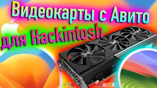 КАК ПРАВИЛЬНО ПОКУПАТЬ ВИДЕОКАРТЫ С AVITO ДЛЯ HACKINTOSH? - ALEXEY BORONENKOV | 4K