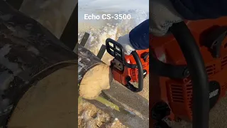 Японская бензопила Echo CS-3500 против сухой сосны. Japanese chainsaw Echo CS-3500 VS dry pine.