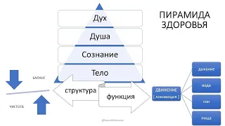 о Затворе ПИРАМИДА ЗДОРОВЬЯ  и МУЖСКИХ КРУГАХ  нарезка СТРИМа