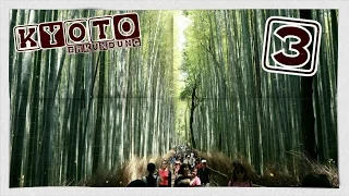 » Mein Austauschjahr « in Japan [Kyoto Erkundung (3/5)] #25