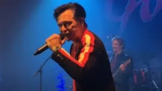 LAWRENCE GOWAN (STYX) STRANGE ANIMAL IS NOW FEATURED IN THE FILM NOPE (GAINS  ATTENTION ON SPOTIFY)