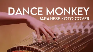 Dance Monkey  (箏/Koto cover) -  Tones And I [Japanese traditional musical instrument]