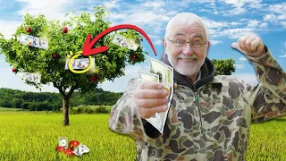 10 ways YOU CAN make MONEY from your Fruit Tree(s)!