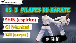 Os três pilares do karate: SHIN (espírito), GI (técnica) e Tai (corpo) - #SHIN