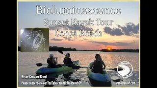 Bioluminescence Sunset Kayak Tour - Cocoa Beach, FL