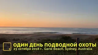 Один день подводной охоты в Австралии: Garie Beach 23.10.2018