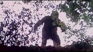 Grunt - The Troll 2 TV-Movie