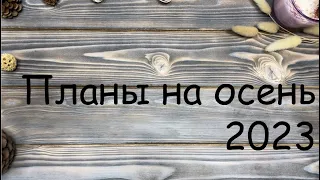 Планы на осень 2023