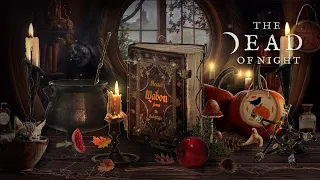 Blessed Mabon Ambience 🧹🍂🍎🦉 | The Autumn Equinox | Witch ASMR & Autumnal Sounds