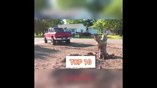 Top10 Dangerous Skills Tree Stump Removal With Tractors Trucks Amazing Root removal Compilation#TOP1