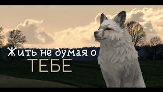 wcpart: жить не думая о тебе | for Mashup Stielly |