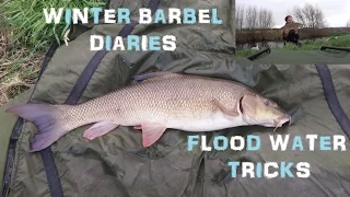 Winter Barbel Diaries in Flood! - The Ginger Fisherman