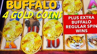 BUFFALO GOLD 4 COINS HUGE WINS!