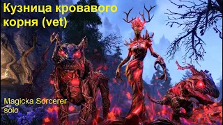 Кузница кровавого корня (vet) - В соло на Magicka Sorcerer :) С комментариями и механикой