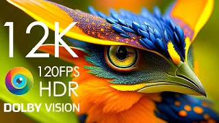 12K HDR 120FPS DOLBY VISION - Wildlife Animals Relaxation Film