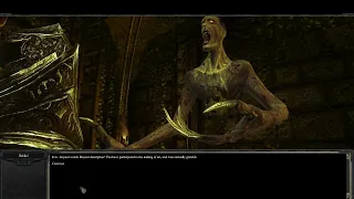 Divinity II (Part 81) Aleroth Revisited - Temple of Nimir