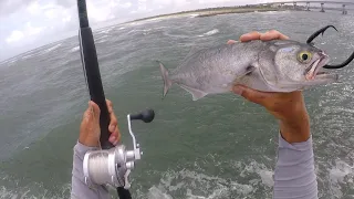 Jetty Giant Fishing with Big Baits
