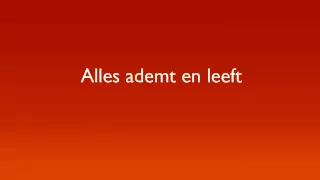 Alles Ademt en Leeft (Circle of Life) Lyrics - TLK Dutch musical