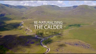 Renaturalising the Calder