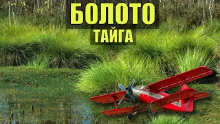 Зеки ОБНАРУЖИЛИ = ТРЯСИНА БОЛОТО ГЕОЛОГИ ЗАСТРЯЛИ НА САМОЛЕТЕ ПУТЕШЕСТВИЕ ЖИЗНЬ в ТАЙГЕ ВЫЖИВАНИЕ