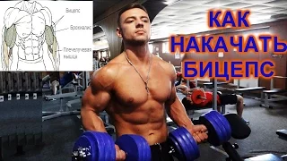 КАК НАКАЧАТЬ БИЦЕПС