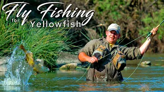 Fly fishing for Yellowfish in South Africa - All you need to know and how to {The Full DVD film}