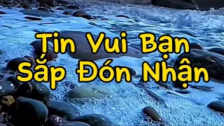 🍀🦋🌻Tin Vui Bạn Sắp Đón Nhận