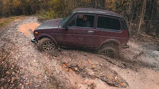 НИВА в шоке))) Выехали на старый маршрут месяц спустя и офигели!!!