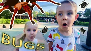 BUG HUNT ADVENTURE at ANIMAL KINGDOM!! SPIDERS, Lizard, Beetles, TARANTULAS for KIDS at Disney World