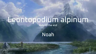 [Artcore] Noah - Leontopodium alpinum