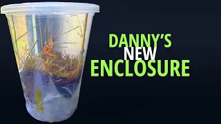 How to Set Up Your Own Ghost Mantis Enclosure!