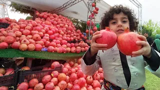 9th Annual Pomegranate Festival In Iraq (Kurdistan - Halabja) | جشنواره انار