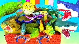 Learn about Sharks Whales Fish - Sea Animals Names - Kids Fun & Educational Toys - in English