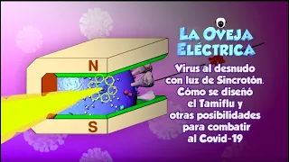 La oveja eléctrica. Virus al desnudo con luz de Sincrotrón