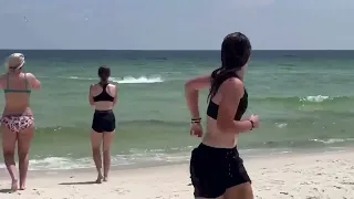 Во Флориде на группу отдыхающих попыталась напасть акула