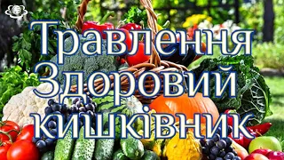 Травлення.  Здоровий кишківник