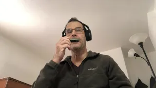 Drowsy Maggie - Learn to Play Traditional Irish Songs on the Harmonica - For Beginners/Intermediates