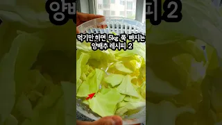 먹기만 하면 5kg 그냥 쉽게 빠지는 양배추 레시피 2