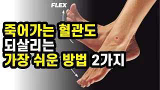 절대 놓쳐서는 안되는 혈액순환 안될 때 이상신호 3가지 [혈관 막힘 증상] - 2편